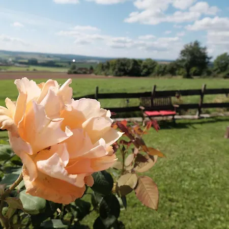 Liebelt In Mitgenfeld / Bayerische Rhön * Oberleichtersbach
